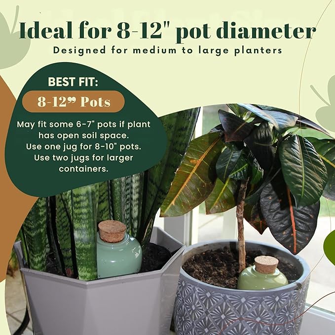 Terracotta Self Watering Planter Insert