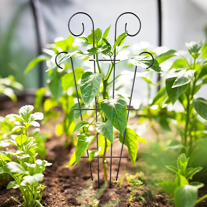 4 Pack 32'' Indoor Plant Trellis