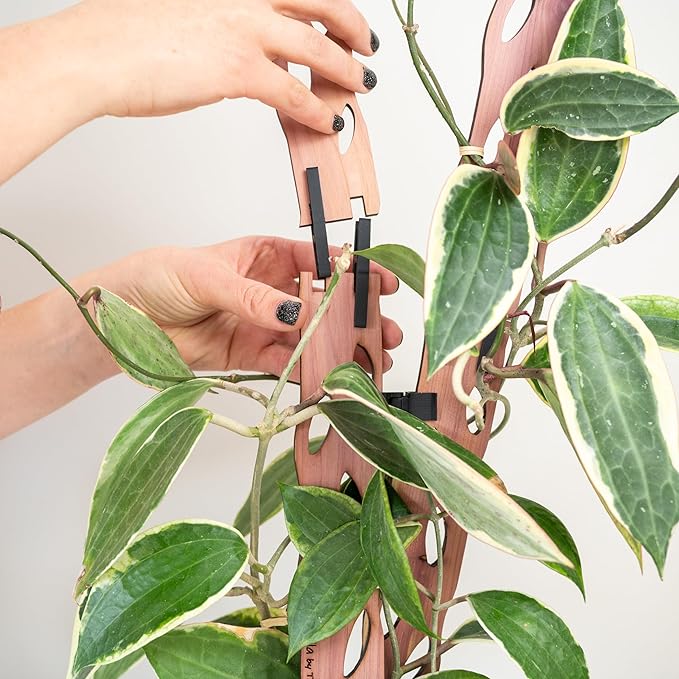 Treleaf Zella Grande Extension Kit