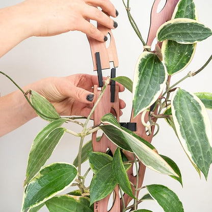 Treleaf Zella Grande Extension Kit