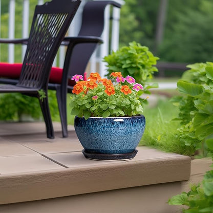 Ceramic Pots for Plants