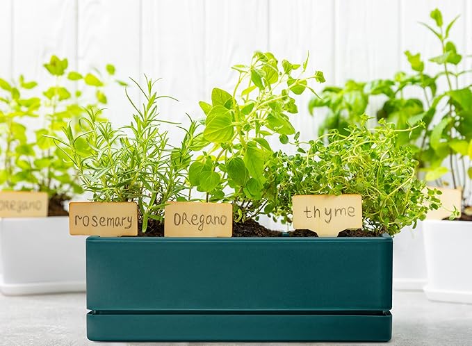 D'vine Dev 12 Inch Window Box Planter, Rectangle Plastic Herb Planter