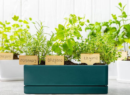 D'vine Dev 12 Inch Window Box Planter, Rectangle Plastic Herb Planter