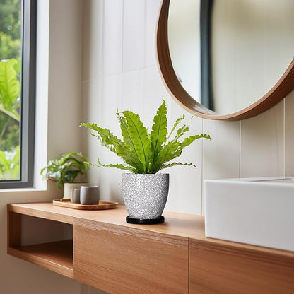Ceramic Plant Pots
