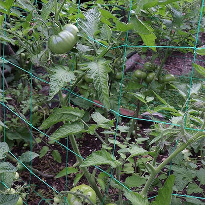 Trellis Netting for Climbing Plants