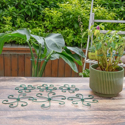 5PCS Monstera Plant Support Hook