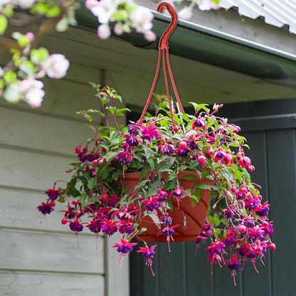Tioncy 50 Pcs Plastic Hanging Planter Round Hanging Pot