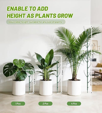 Plant Support Stakes, 1 Roll Tie