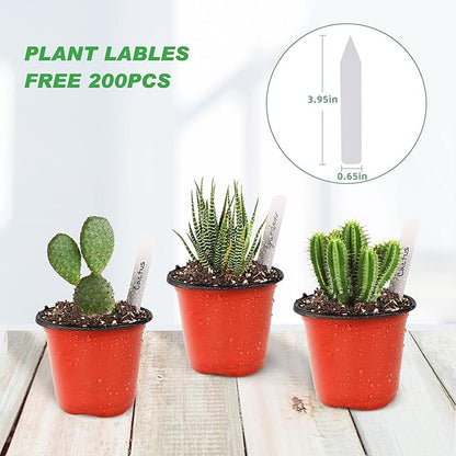 TDHDIKE 4" Small Plastic Plant Pots