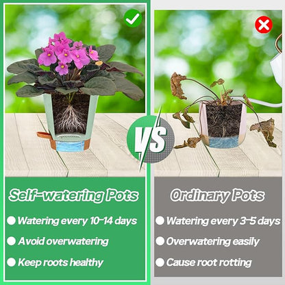 5in Self Watering Pots for Indoor Plants