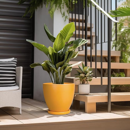 10 Inch Plant Pot