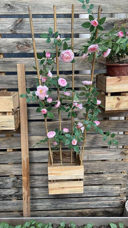 Natural Bamboo Trellis, Fan-Shaped Plant Support Trellis