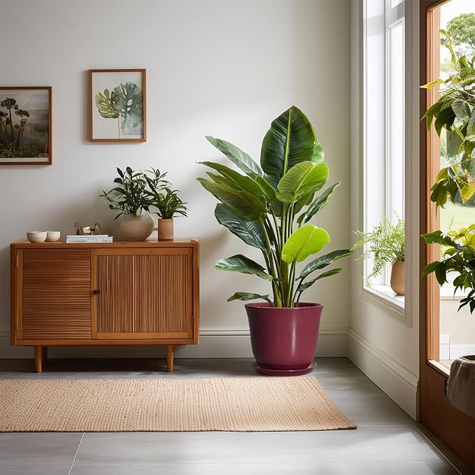 Ceramic Plant Pots