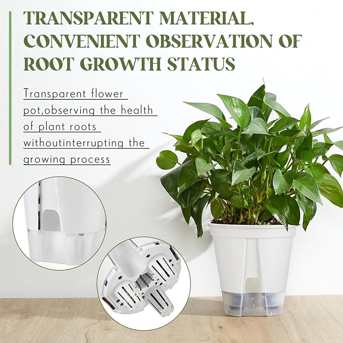 Self Watering Pots for Indoor Plants