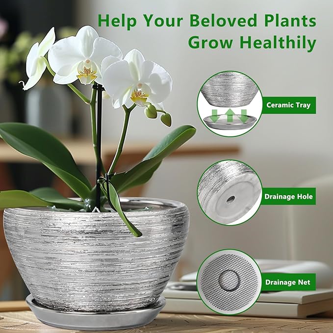 Pot for Plants 9 Inch