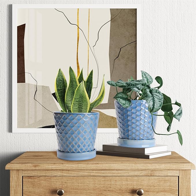 EFISPSS Plant Pots, 5 Inch Pots