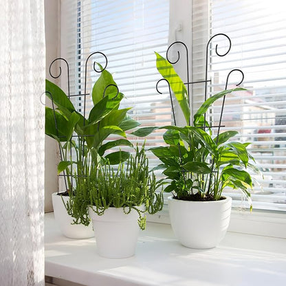 4 Pack 32'' Indoor Plant Trellis