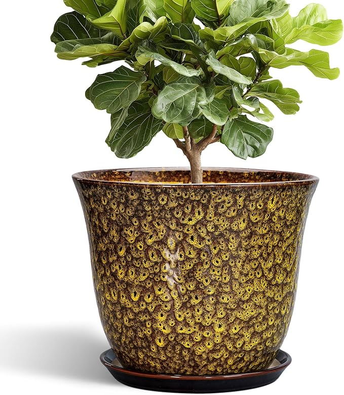 12 Inch Plant Pot