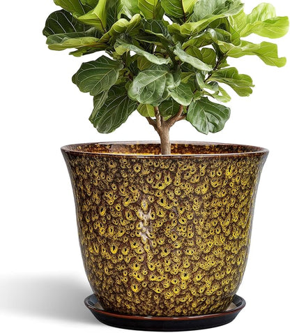 12 Inch Plant Pot