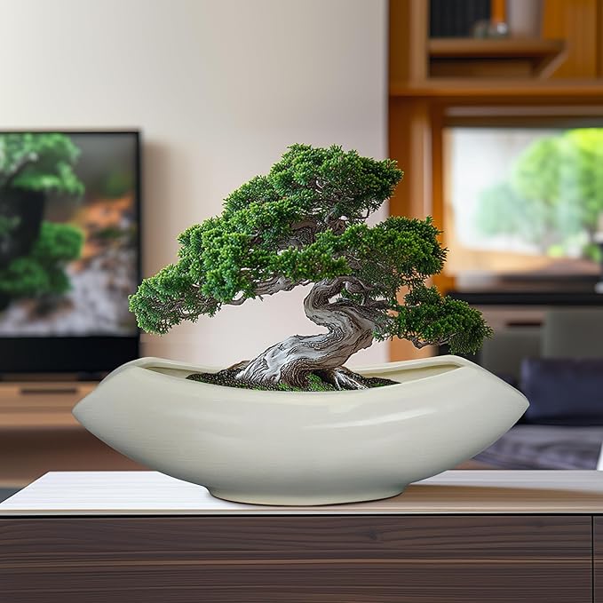 Bonsai Pots 18 Inch