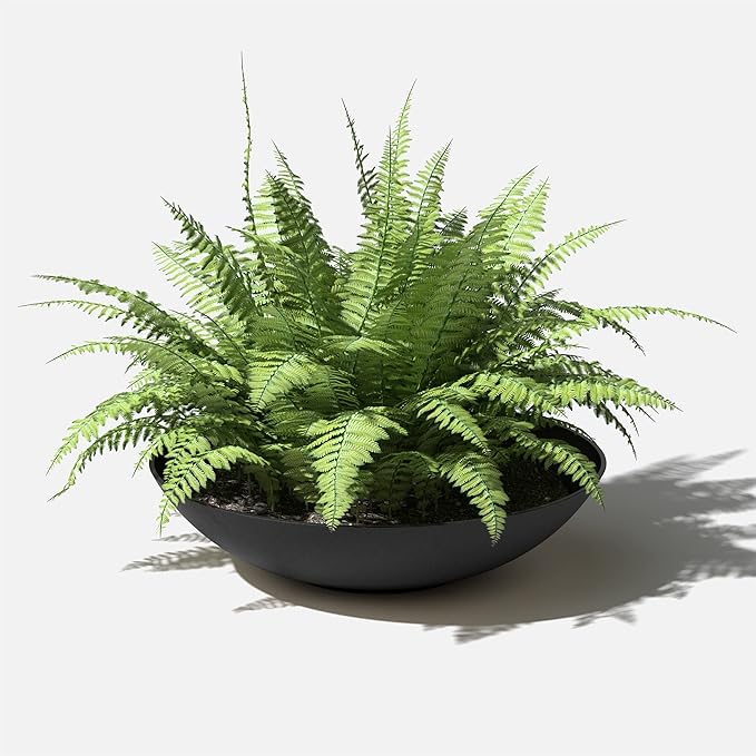 Veradek Mason Series Lane Bowl Planter|