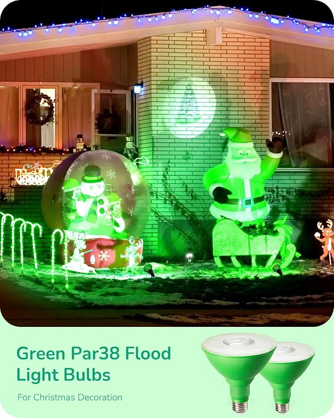 EDISHINE St.Patrick's Day/Easter Decorations PAR38 Green LED Flood Light Bulbs
