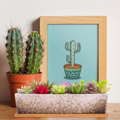Succulent Pots - Large Succulent Planter Pots