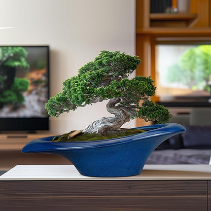 Bonsai Tree Pot 18 Inch