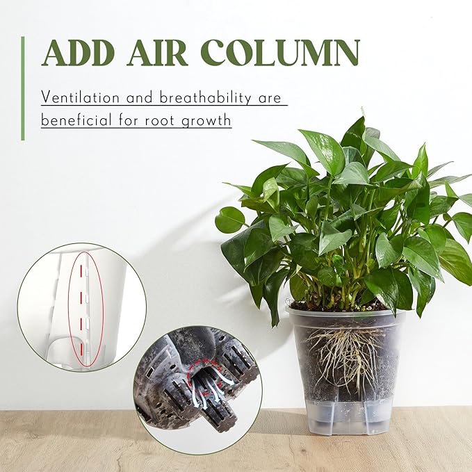 Self Watering Pots for Indoor Plants