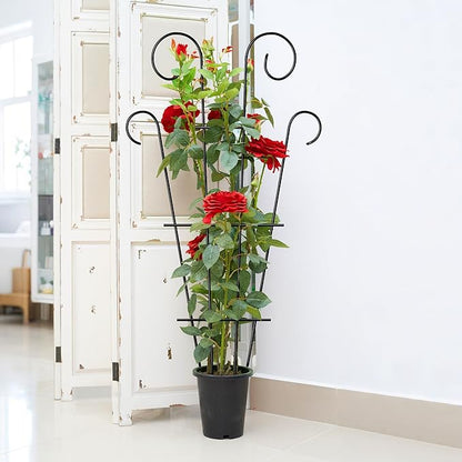 4 Pack 32'' Indoor Plant Trellis