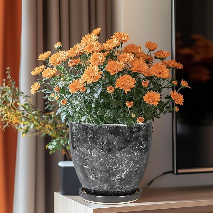Ceraimc Planter