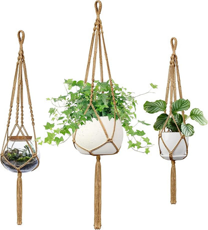 Macrame Plant Hanger