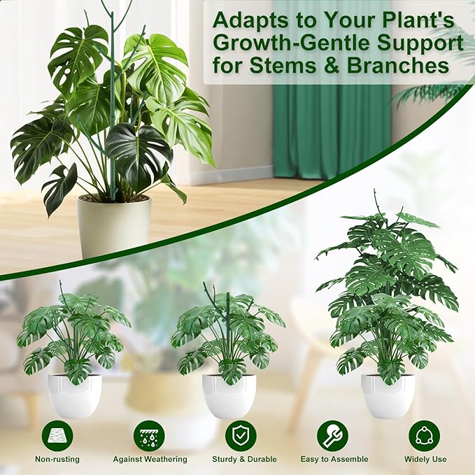 5 Pack Stackable Monstera Plant Support Stakes