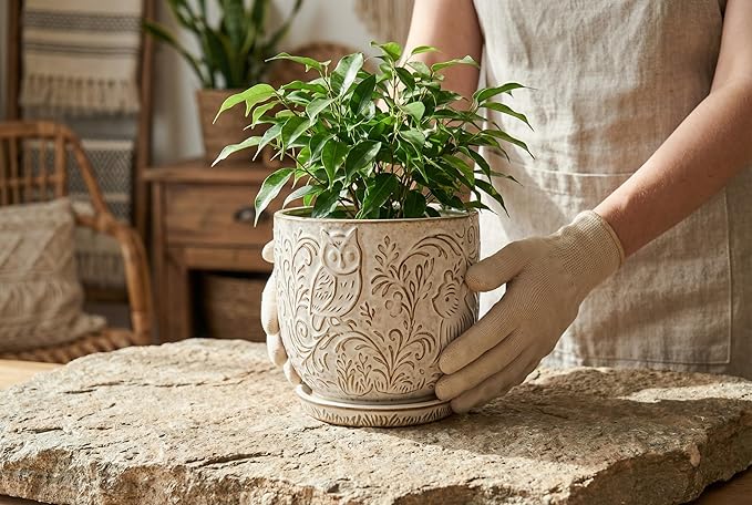 Decorative Ceramic Planter Pot