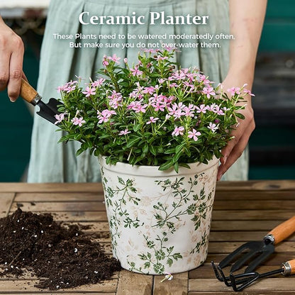 Ceramic Planter with Drainage Hole, Plastic Tray & Mesh, 6.7 Inch