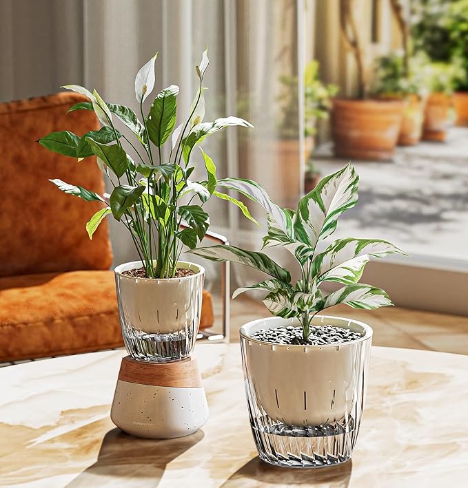 Self Watering Planters