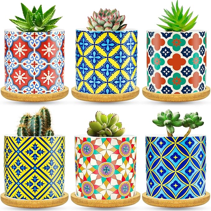 6 Pack Succulent Pots with Drainage Hole, 3 inch Ceramic Succulent Planter with