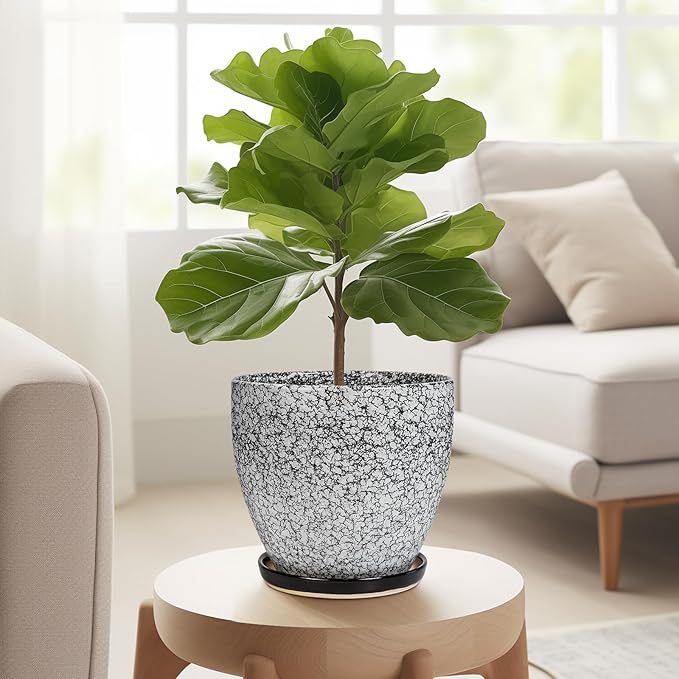 Ceramic Planter