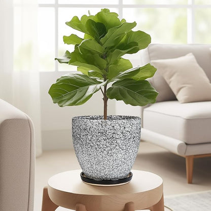 Ceramic Planter