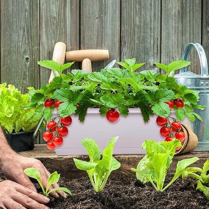 Window Box Planter, 7 Pack Plastic Vegetable Flower Planters Boxes 17 Inches