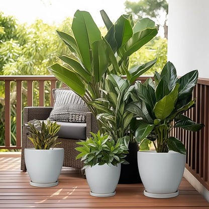Ceramic Pots for Plants