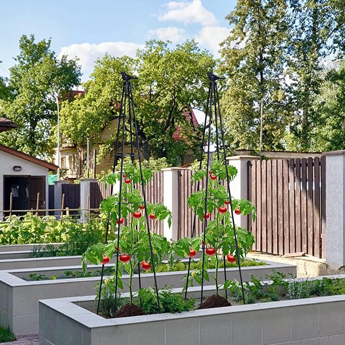 Cucumber Trellis, 2 Pack