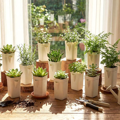 LemonRoad 20 Pack 2" Small Self Watering Pots