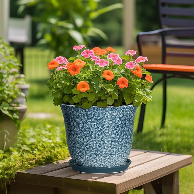 Ceramic Plant Pots