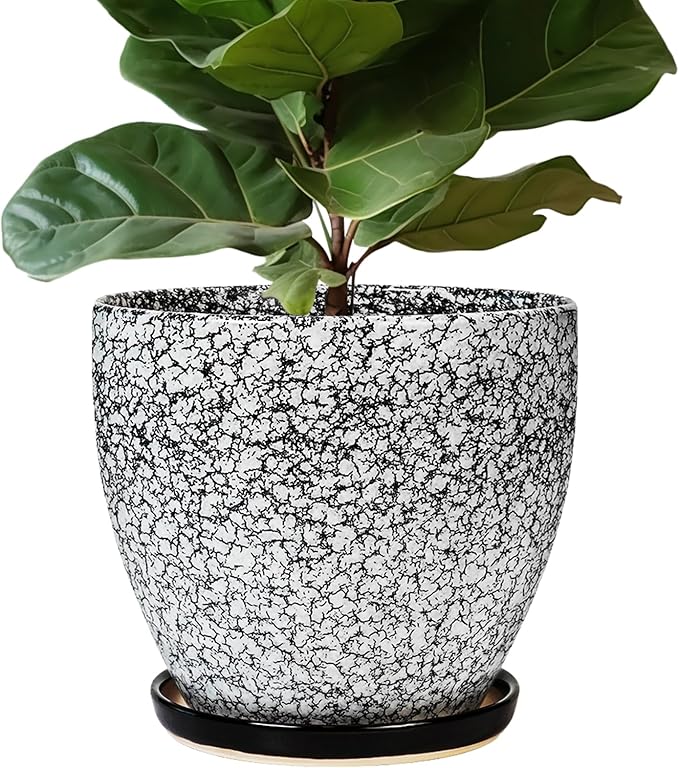 10 Inch Plant Pot