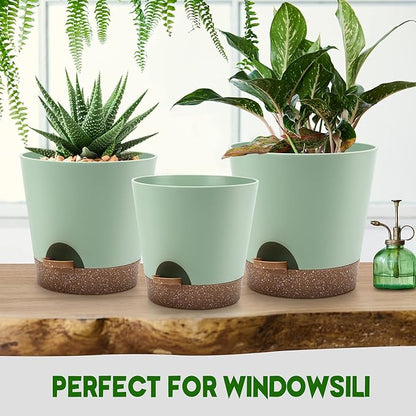 Indoor Self Watering Planters