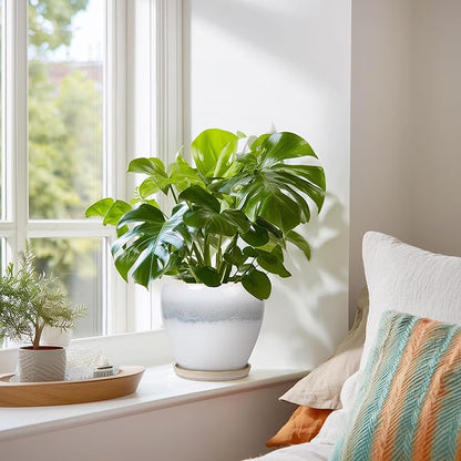 Ceramic Plant Pot