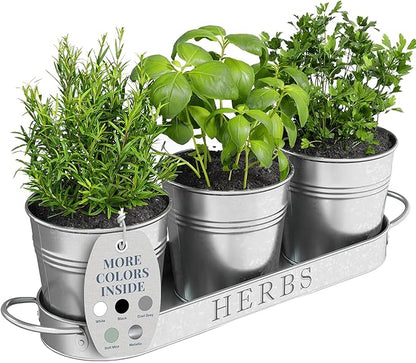 Barnyard Designs Indoor Herb Garden Planter Set