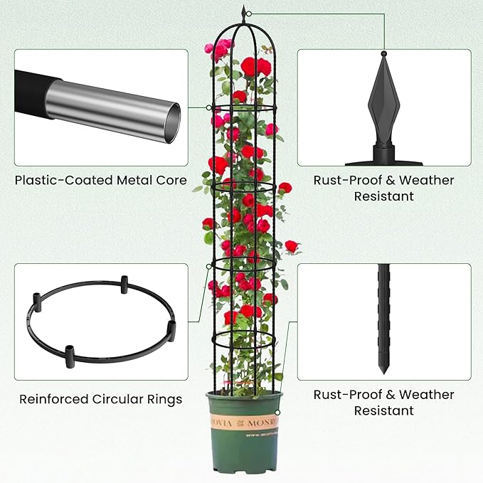 Garden Obelisk Trellis for Climbing Plants