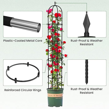 Garden Obelisk Trellis for Climbing Plants